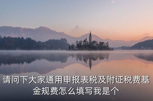 通用申報(bào)基金規(guī)費(fèi)包括什么，請問下大家通用申報(bào)表稅及附證稅費(fèi)基金規(guī)費(fèi)怎么填寫我是個