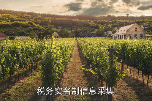 實名采集需要什么資料，實名制驗證身份證信息采集有沒有這種身份證證件識別方式  搜