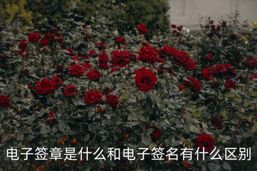 國稅電子簽章什么意思，什么是電子印章