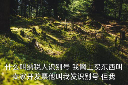 公司納稅識(shí)別號(hào)是什么意思，納稅人識(shí)別碼是什么