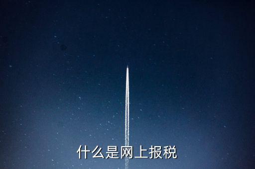 網(wǎng)上報(bào)稅是指報(bào)什么稅，網(wǎng)上報(bào)稅 是報(bào)的什么