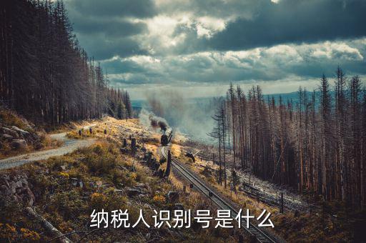 稅務(wù)人識(shí)別號(hào)是什么，稅納人識(shí)別號(hào)是什么東東