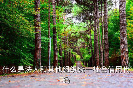 機(jī)關(guān)有社會(huì)信用代碼是什么意思，社會(huì)信用代碼與機(jī)構(gòu)信用代碼有什么不同