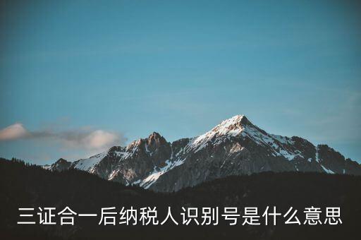 三證合一稅務(wù)識(shí)別號是什么意思，三證合一后納稅人識(shí)別號是什么意思
