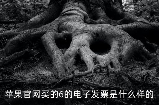 蘋(píng)果官網(wǎng)買的6的電子發(fā)票是什么樣的