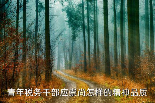 中國(guó)稅務(wù)精神是什么，在稅務(wù)工作中應(yīng)該樹(shù)立什么樣的精神