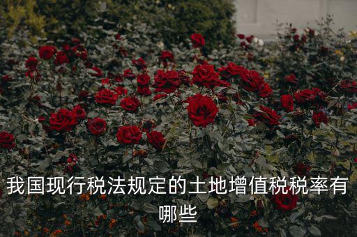 土地增值稅采用什么稅率，土地增值稅應(yīng)用于哪種稅率形式