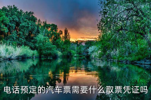 電話取票需要帶什么資料，電話預(yù)定的汽車票需要什么取票憑證嗎