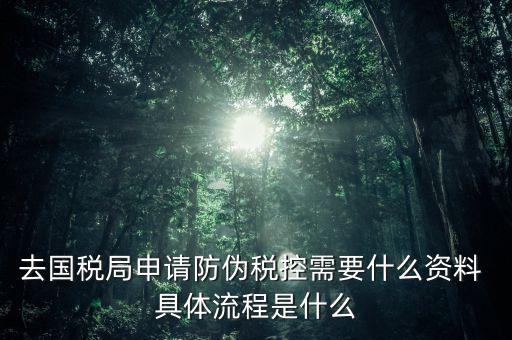 防偽稅控設備是什么意思，防偽稅控系統(tǒng)的好處