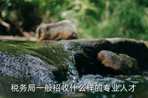 什么專業(yè)可進(jìn)稅務(wù)所，稅務(wù)局一般招收什么樣的專業(yè)人才