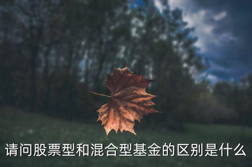 什么是激進(jìn)稅收，請問股票型和混合型基金的區(qū)別是什么