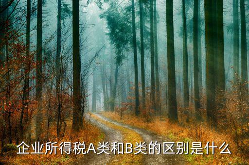 什么叫a類企業(yè)所得稅，所得稅申報(bào)怎么區(qū)分A類包括哪些企業(yè)