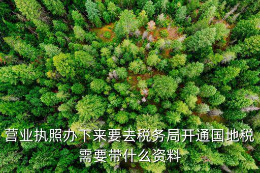 有了營業(yè)執(zhí)照要帶什么去辦稅，拿到營業(yè)執(zhí)照銀行開戶后去辦稅帶什么證件