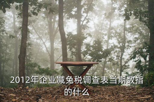 2012年企業(yè)減免稅調查表當期數指的什么