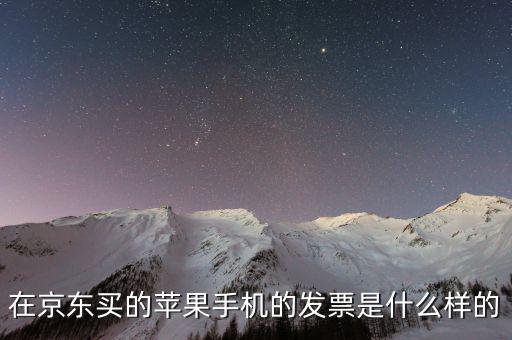 在京東買的蘋(píng)果手機(jī)的發(fā)票是什么樣的