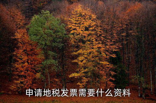 地稅局開票需要帶什么，申請地稅發(fā)票需要什么資料