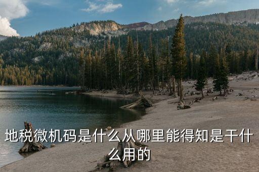 地稅登入碼是什么，地稅管理碼與稅號是同一個嗎我想知道稅務(wù)登記證上的稅字XXXXX