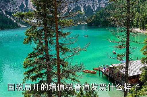 普通票是什么樣子的，什么是普通發(fā)票普通發(fā)票包括多少種具體都是什么樣式的啊搜