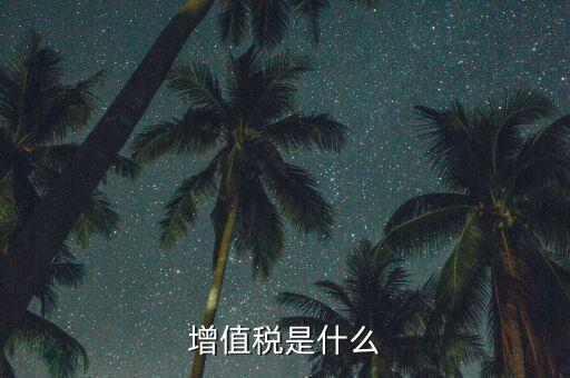 增值稅增值部分是什么，財務(wù)上增值部份是指什么如進項發(fā)票為10萬銷項發(fā)票為30萬兩項