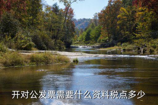 對(duì)公開(kāi)票需要什么信息，公對(duì)公開(kāi)發(fā)票 需要對(duì)方什么信息