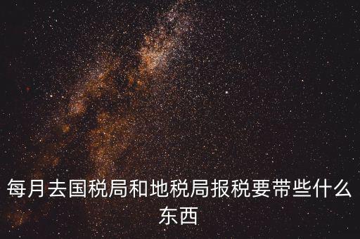 國稅大廳報稅需要什么，你好請教你一下如果我去國稅大廳報稅的話都需要帶什么東西填