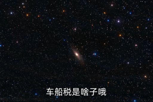 保險的車船稅是什么，車船稅是啥子哦