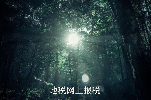 地稅網(wǎng)上需要報(bào)什么稅，網(wǎng)上報(bào)稅地稅國稅各有哪些稅種