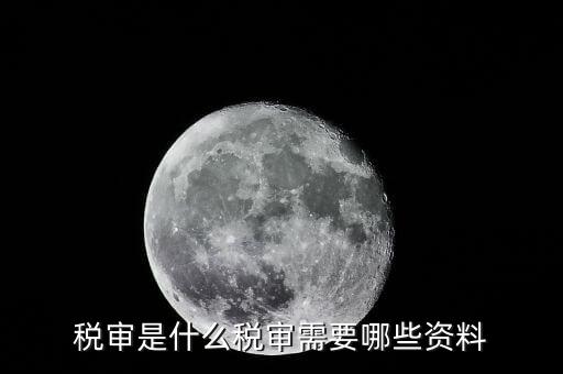 什么是大企業(yè)稅務審計，審計和稅務