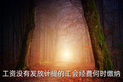工會經(jīng)費一般什么時候交，工資沒有發(fā)放計提的工會經(jīng)費何時繳納