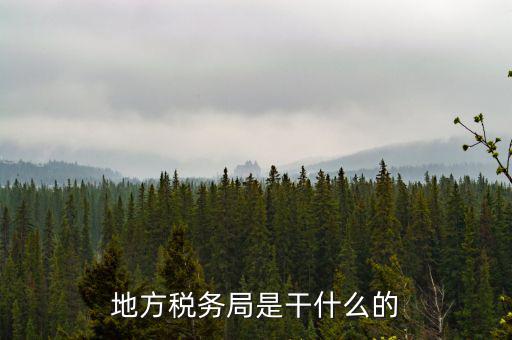 地稅局涉外稅收做什么，陜西發(fā)票涉外地稅是什么意思