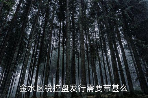稅盤發(fā)行要帶什么資料，去國(guó)稅局辦發(fā)行需要什么資料