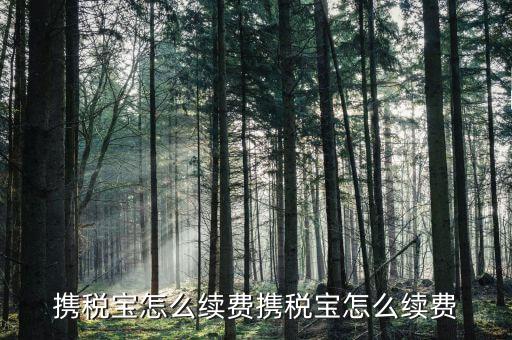 稅寶續(xù)費帶什么意思，攜稅寶續(xù)費后怎樣使用