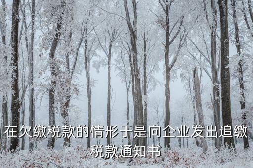 在欠繳稅款的情形于是向企業(yè)發(fā)出追繳稅款通知書(shū)