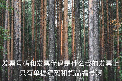 發(fā)票代碼和發(fā)票號(hào)碼是什么，發(fā)票代碼和發(fā)票號(hào)碼有什么用