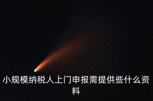 什么是上門申報，小規(guī)模納稅人上門申報需提供些什么資料
