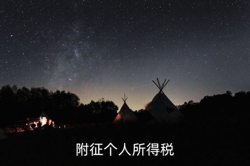 個(gè)人所得稅附征率是什么，什么是所得稅附征率