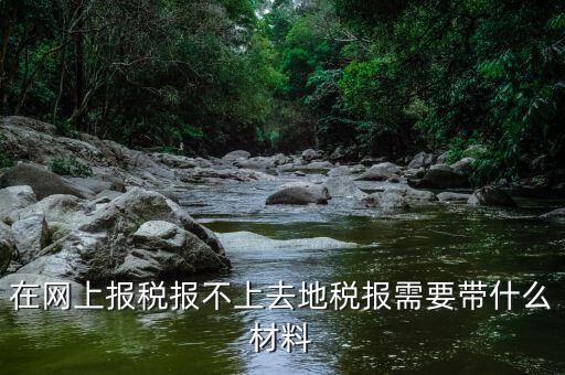 網(wǎng)上報(bào)稅反寫失敗帶什么手續(xù)，去國(guó)稅局查看反寫需要帶什么