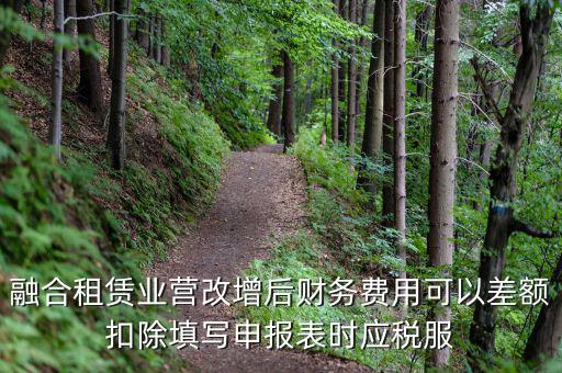 應稅服務扣除項目清單干什么用，應稅服務扣除項目清單中允許扣除項目金額指的是什么是總