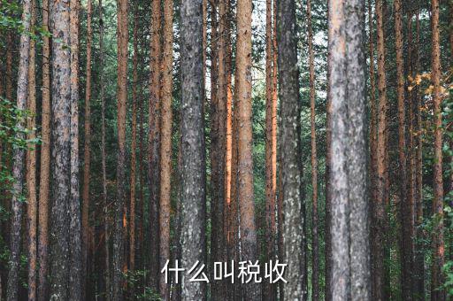 什么shi稅收，稅收是什么