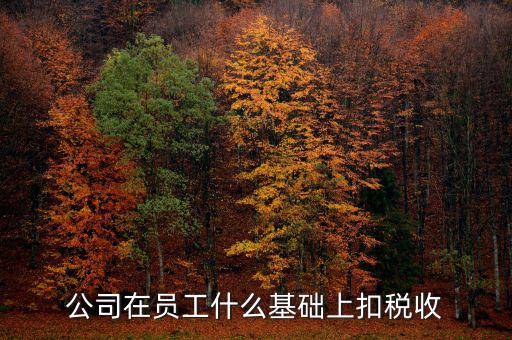 什么是稅收基礎(chǔ)工作，問個問題稅務(wù)基本建設(shè) 是個什么崗位