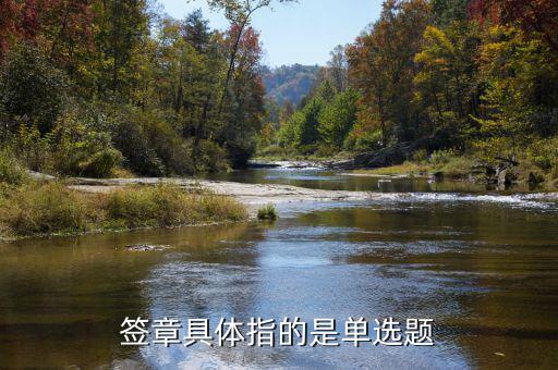 稅務(wù)主管簽章指什么意思，稅務(wù)章是什么