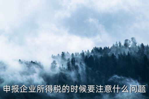年度企業(yè)所得稅申報(bào)注意什么，申報(bào)企業(yè)所得稅的時(shí)候要注意什么問(wèn)題