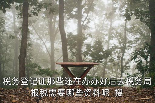 新辦企業(yè)稅務(wù)局需要什么資料，稅務(wù)登記證那些還在辦辦好后去稅務(wù)局報(bào)稅需要哪些資料呢  搜