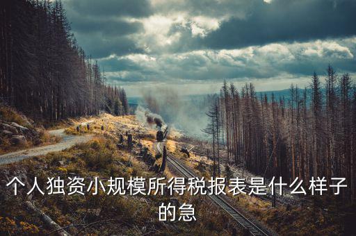 所得稅報(bào)表是什么樣的，企業(yè)所得稅年度納稅申報(bào)表