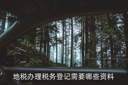 辦地稅要些什么資料，辦地稅需要什么東西