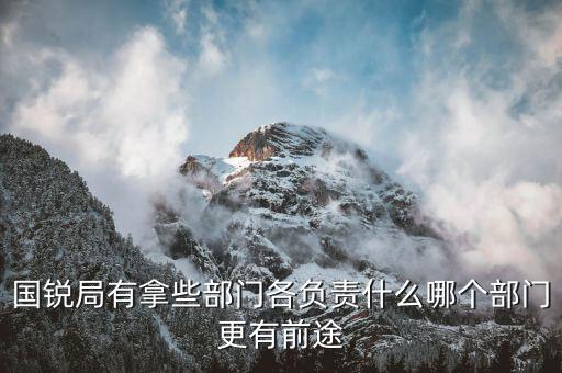 國銳局是辦什么，深圳公司入黑名單注銷吊銷