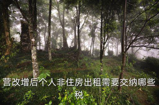 個人出租非房屋交什么稅，您好個人出租非住房繳納房產稅按照2019新政策是不是租賃收入