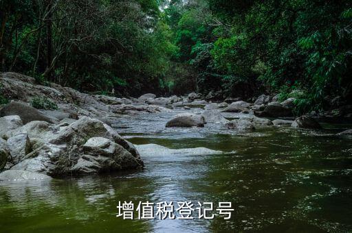 國家增值稅號是什么，增值稅登記號