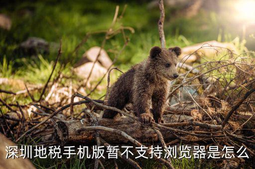 深圳國(guó)稅網(wǎng)站用什么瀏覽器打開(kāi)，國(guó)稅網(wǎng)為什么看不到增值稅申報(bào)表平時(shí)一打開(kāi)這個(gè)頁(yè)面就可以點(diǎn)擊看