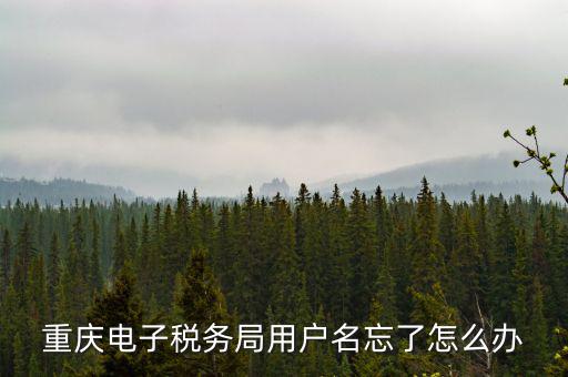 重慶電子稅務(wù)局的網(wǎng)址是什么意思，重慶市國(guó)稅電子申報(bào)委托繳稅的網(wǎng)址